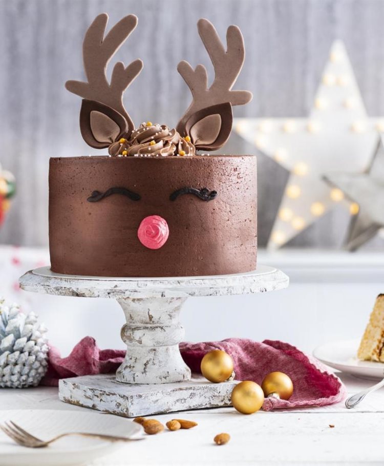 Rudolph the rednosed reindeer cake - FunCakes